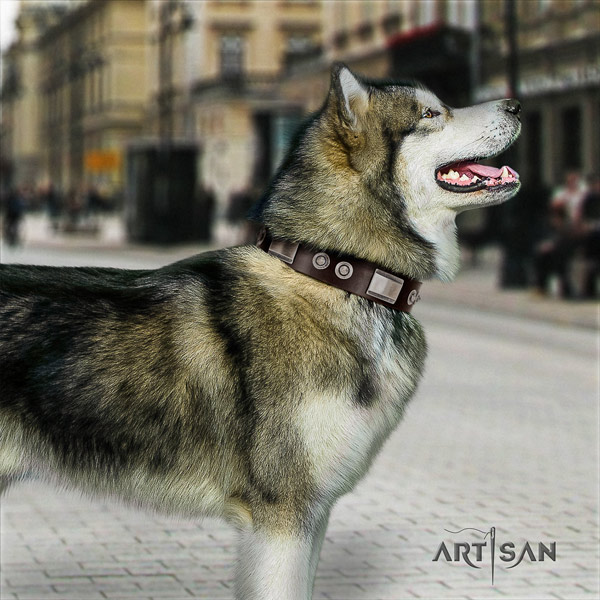Malamute incredible embellished natural leather dog collar for daily walking