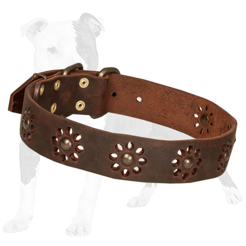 Fashionable brown leather dog collar