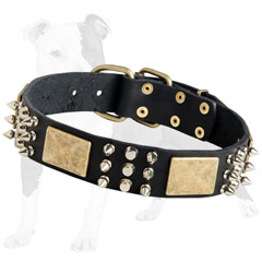 Spiked and Studded Leather Collar with Plates