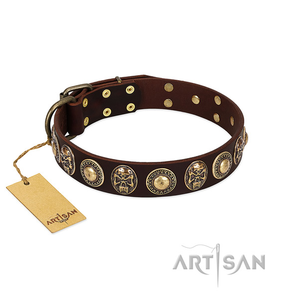 Extraordinary leather dog collar for walking