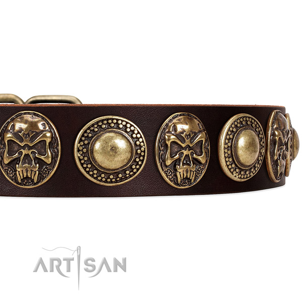 Natural genuine leather dog collar with studs for everyday walking