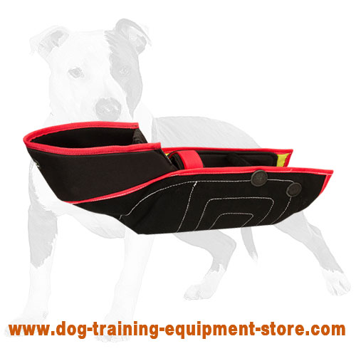 https://www.dog-training-equipment-store.com/images/large/Bite-dog-sleeve-for-reliable-protection-PS24F_LRG.jpg