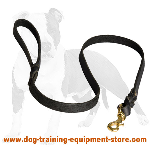 Leather hot sale leash store