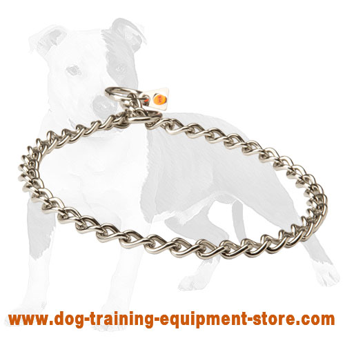 Using a choke collar best sale for training