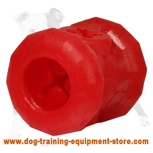 https://www.dog-training-equipment-store.com/images/large/Chewing-dog-toy-food-dispenser-TT28_LRG.jpg