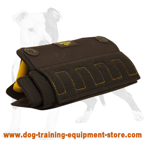 Dog training outlet accessories