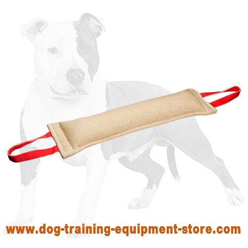 Dog Training Toy Dog Treat Toy Dog Training Aid Dog Treat Toy