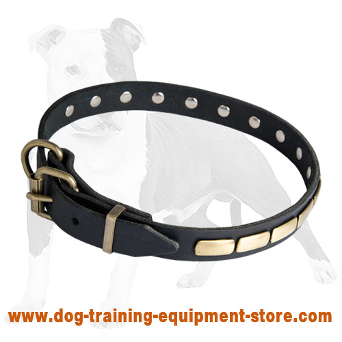 Get Luxury Dog CollarLeather Collars for Stylish Walk