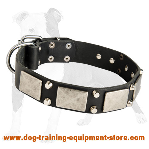 designer leather dog collars