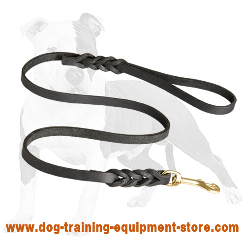 Leather leash store sale