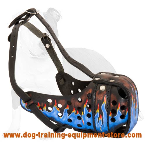 Leather dog 2024 muzzle australia