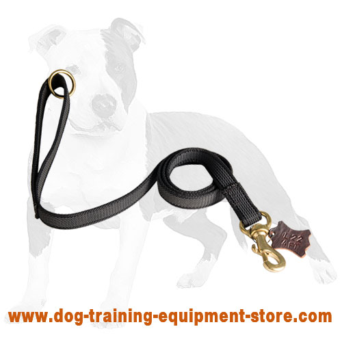 rubber dog leash