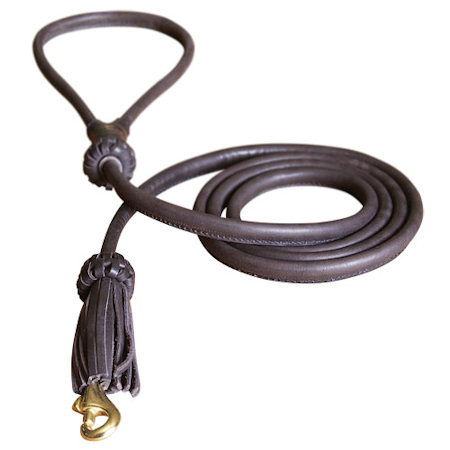 Leash for hotsell training dogs