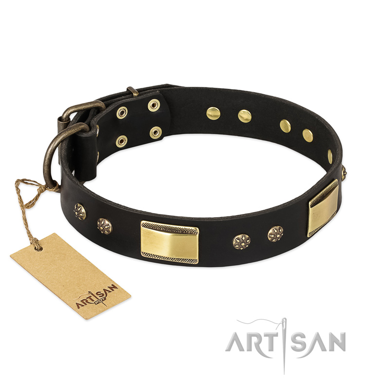 Black Brushed Leather Pet Collar