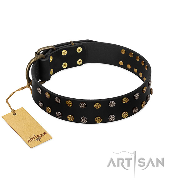 Impressive natural leather dog collar with rust resistant studs