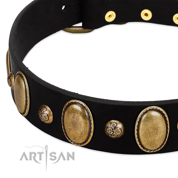 Natural leather dog collar with awesome adornments