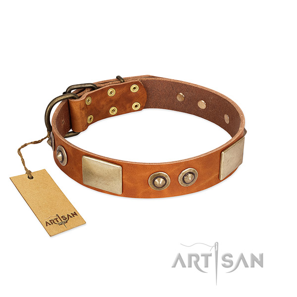 Easy adjustable full grain leather dog collar for basic training your canine