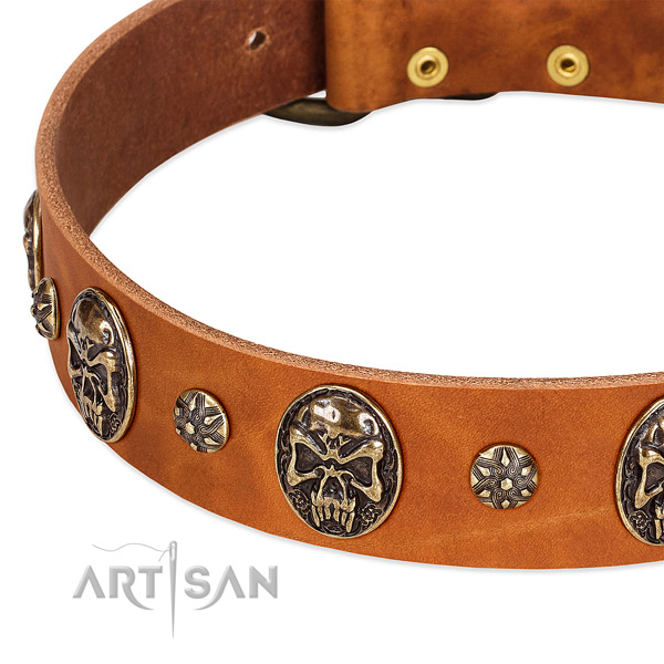 Durable buckle on natural genuine leather dog collar for your pet