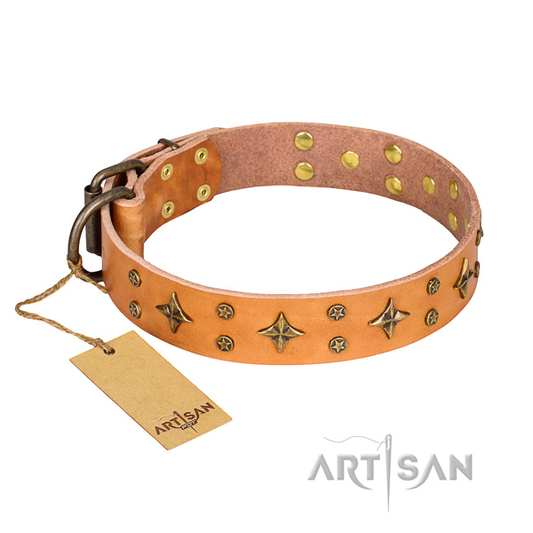 Stylish walking dog collar of best quality full grain natural leather with decorations