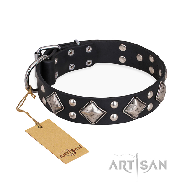 Everyday use decorated dog collar with reliable hardware