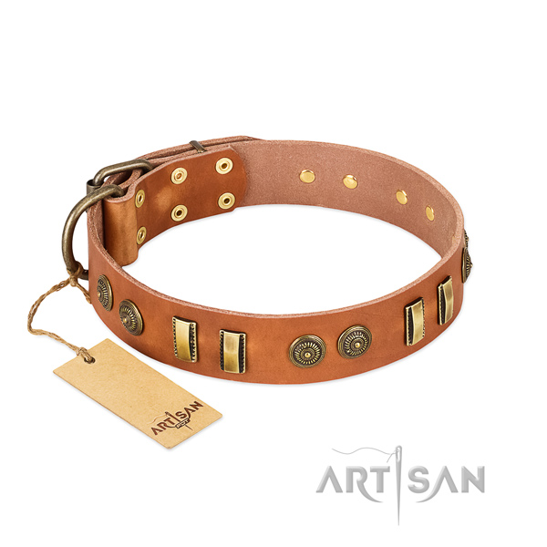 Corrosion proof D-ring on natural leather dog collar for your four-legged friend