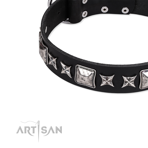 Comfy wearing embellished dog collar of reliable full grain leather