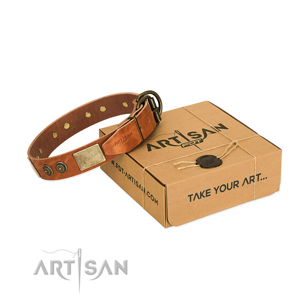 Corrosion resistant D-ring on full grain leather dog collar for comfy wearing