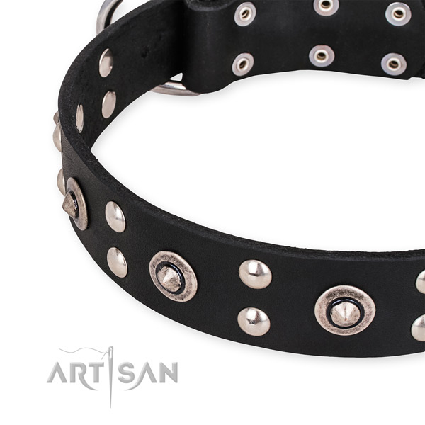 Full grain leather collar with durable D-ring for your impressive doggie