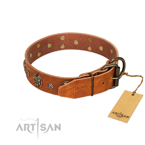 Durable studs on full grain genuine leather dog collar for your dog