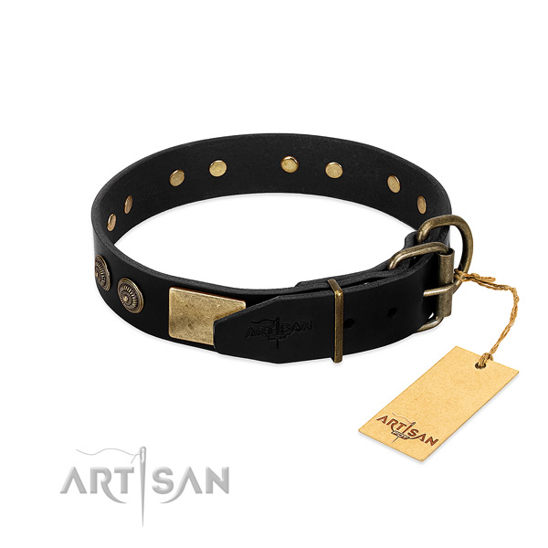 Strong adornments on natural leather dog collar for your doggie