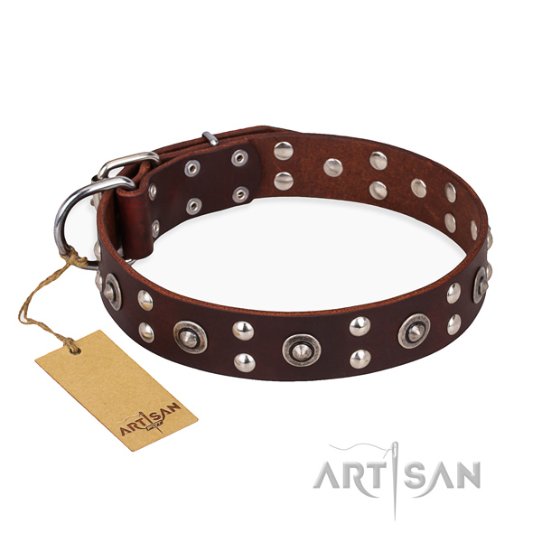 Easy wearing extraordinary dog collar with strong hardware