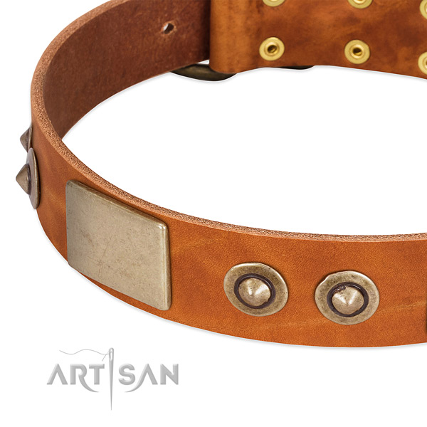 Rust resistant adornments on natural genuine leather dog collar for your canine