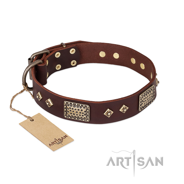 Incredible full grain leather dog collar for daily walking
