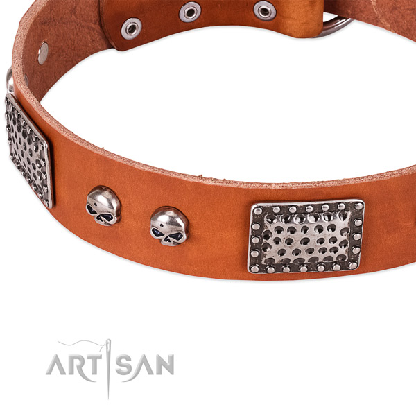 Durable buckle on full grain leather dog collar for your canine