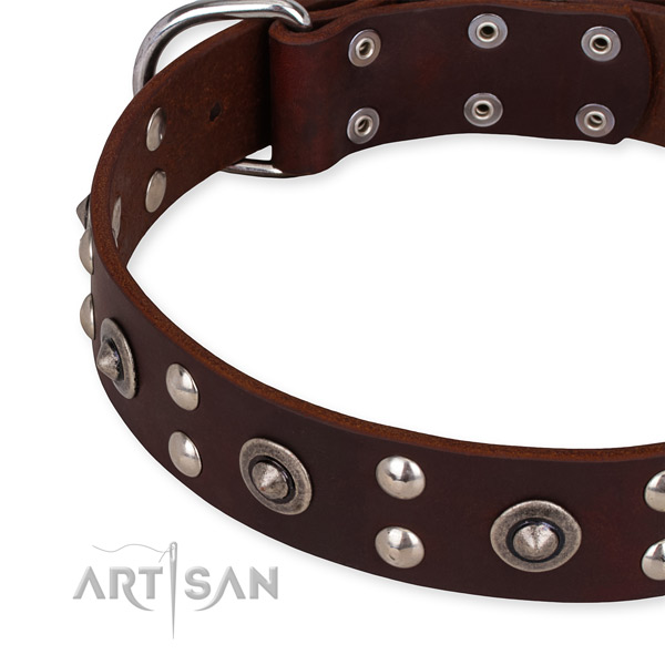 Full grain natural leather collar with rust resistant fittings for your beautiful dog