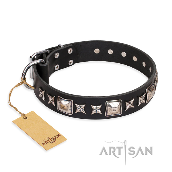 Fancy walking dog collar of durable full grain leather with embellishments