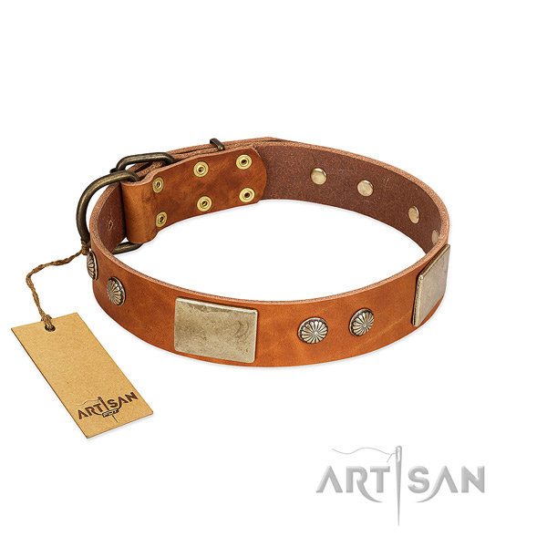 Easy to adjust full grain genuine leather dog collar for basic training your dog