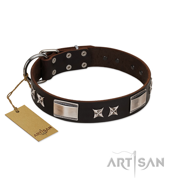 Stylish design dog collar of natural leather