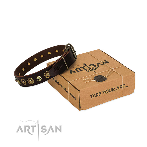 Natural leather collar with awesome adornments for your four-legged friend