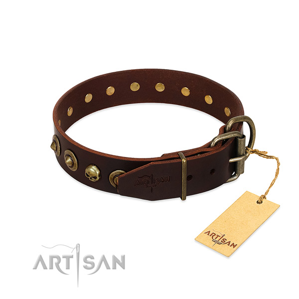 Full grain natural leather collar with trendy adornments for your canine