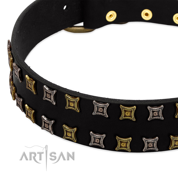 Top rate leather dog collar for your handsome pet