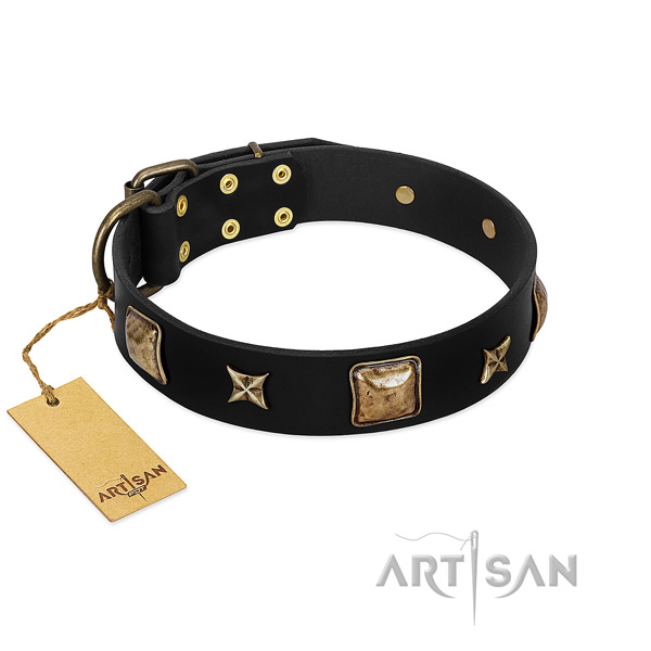 Full grain leather dog collar of top rate material with designer embellishments