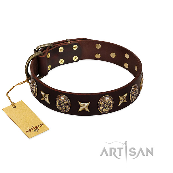 Extraordinary leather collar for your pet