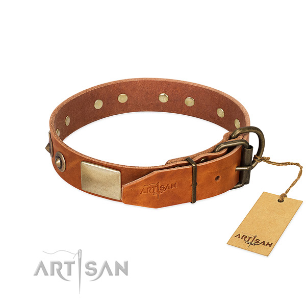 Strong traditional buckle on daily use dog collar