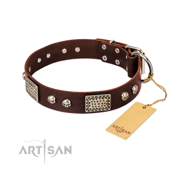 Easy wearing full grain natural leather dog collar for stylish walking your pet