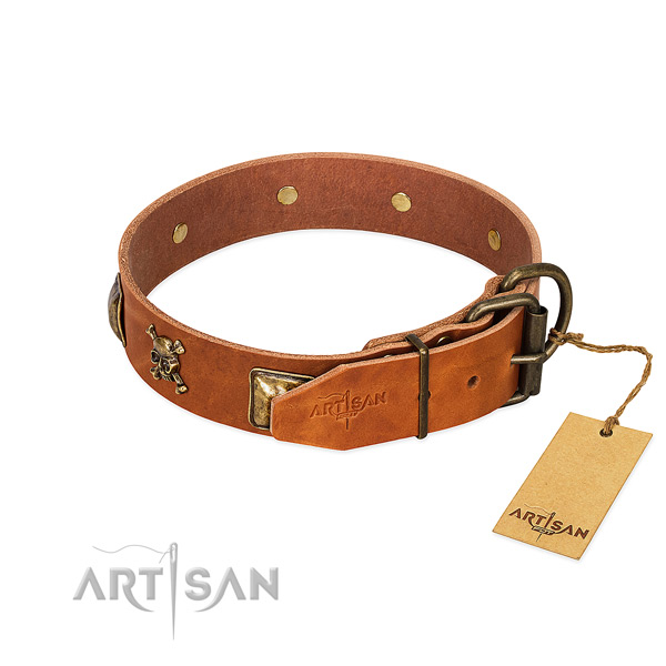 Unusual genuine leather dog collar with rust resistant decorations