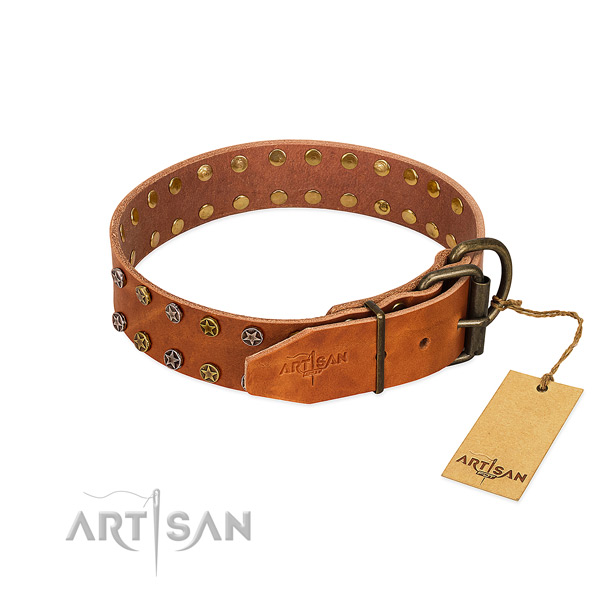 Fancy walking leather dog collar with exceptional embellishments