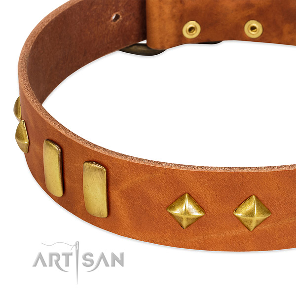 Easy wearing full grain genuine leather dog collar with amazing studs