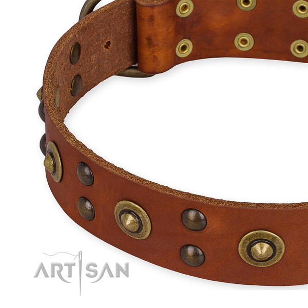 Genuine leather collar with rust-proof traditional buckle for your handsome pet