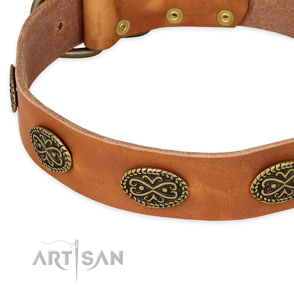 Inimitable full grain leather collar for your beautiful doggie